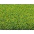 Grass Mat "Spring Meadow" (3000 x 1000 mm)
