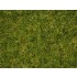 Master Grass Blend "Summer Meadow" for 1m2 area (2.5-6mm, 50g)