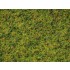 Master Grass Blend "Cow Pasture" for 1m2 area (2.5-6mm, 50g)