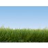 Wild Grass (light green, 6mm, 100g) For O,HO,TT,N Scale