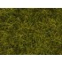 Wild Grass XL "Meadow" (12mm, 80g) For O,HO Scale