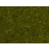Wild Grass "Meadow" (6mm, 50g) For O,HO,TT,N Scale