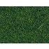 Wild Grass XL (dark green, 12mm, 40g) For O,HO Scale