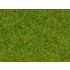Scatter Grass "Spring Meadow" (length: 2.5 mm, 120g)