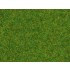 Scatter Grass "Ornamental Lawn" (length: 2.5 mm, 20g)