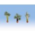 HO Scale Palms (3pcs, Height: 34mm)