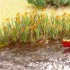 HO Scale Water Lilies (18 plants)