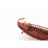 1/200 Athenian Trireme (5th Century BC) Complete Kit