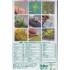 1/48 Lime Tree - Paper Plant kit