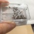 1/35 Oak Leaves - Extra Colours