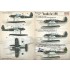 1/48 Arado Ar 196 Decals