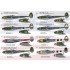 1/72 Lockheed P-38 Lightning Decals