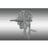 1/32 Salmson P9 Rotary Engine