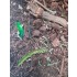 Forest Floor - 125ml Super Detailed Scenic Scatter