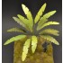 1/35, 1/48 Handmade Banana Tree with Faded Green and Yellowish-Brown Leaves (Height: 15cm)