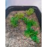 1/35 - 1/16 Plastic Plants - Wild Bushes Medium/Dark Green (15pcs)