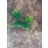 1/35 - 1/16 Plastic Plants - Wild Bushes Medium/Light Green (10pcs)