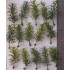 1/35 - 1/16 Plastic Plants - Tall Bushes Medium/Light Green (8pcs)