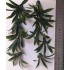 1/35 - 1/16 Plastic Plants - Large Desert Plant (4pcs)