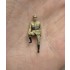 1/72 ZiS-5V W Wojsku Polskim Advanced Kit