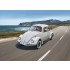 1/32 Starter Kit - VW Beetle (kit, paints, brush, glue)
