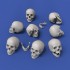 54mm Scale Skulls (8pcs)