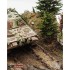 1/35 Hurtgenwald Scenic Base