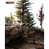 1/35 Hurtgenwald Scenic Base