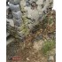 1/35 Ardennes Forest Diorama Base (Ceramic)