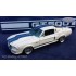 1/24 Mustang Eleanor 1967 Transkit for AMT kit