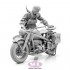 1/16 WWII German KS750 with Trooper