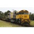 HO Scale 12mm Australian 2170 Class Diesel Locomotives QR Broncos Livery #2203D 2012-18+