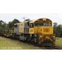 HO Scale 12mm Australian 2170 Class Diesel Loco QR Broncos Livery #2203D 2012-18+ w/Sound