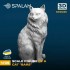 1/35 Cat ''Bars'' (1pc)