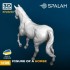 1/35 Horse 