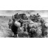 1/35 Russian Refugees 1941-1945 (Big Set - 10 figures)