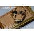 1/35 WWII US M4A3 76 w/Mid Tank Basic Detail Set for Meng Model #TS043