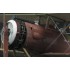 1/32 WWI Salmson 2-A2 "USAS" Reconnaissance Biplane 1917-1919