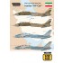 Decals for 1/32 The Last Active Tomcats - Iranian Alicat F-14A Tomcat