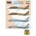 Decals for 1/72 The Last Active Tomcats - Iranian Alicat (F-14A Tomcat)