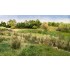 Ground Cover - Field Grass Natural Straw (glass length: 6.35cm, 8g/0.28 oz)