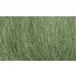 Ground Cover - Field Grass Medium Green (glass length: 6.35cm, 8g/0.28 oz)