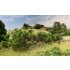 Landscape Accents Briar Patch Medium Green (coverage area: 21.2 in3 / 347cm3)