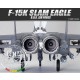 1/48 F-15K "R.O.K. Air Force" Slam Eagle