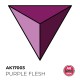 Acrylic Colour for Contrast Painting - Quick Gen #Purple Flesh (18ml)