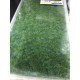 Realistic Ground Mat - Middle Green Turfs (Dimensions: 230 x 130 mm)