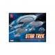 1/2500 [Star Trek] USS Enterprise Starship Kit (Snap-Fit)