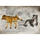 1/35 Mongrel Dogs Vol.1