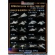 1/700 USN Carrier Air Wing 1980-90 (10 types, 58 aircrafts)