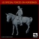 1/35 US Special Forces on Horse (1 figure)